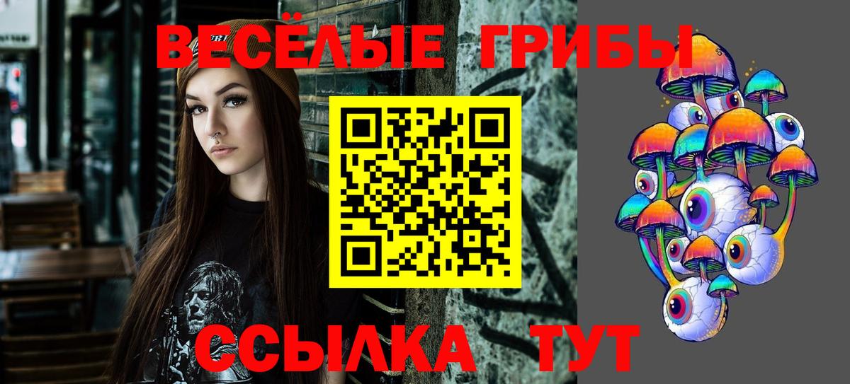 Псилоцибиновые грибы Magic Shrooms  Галлюциногенные грибы Magic Shrooms  Елец  Вход с VPN 